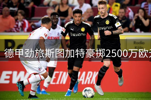 德甲劲旅斯图加特豪掷2500万欧元 引进德国U21新星佩契诺维奇