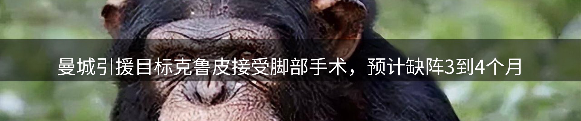 今日资讯