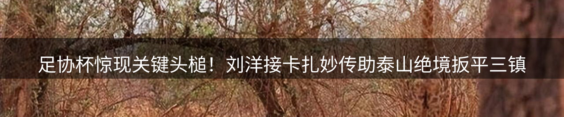 今日资讯