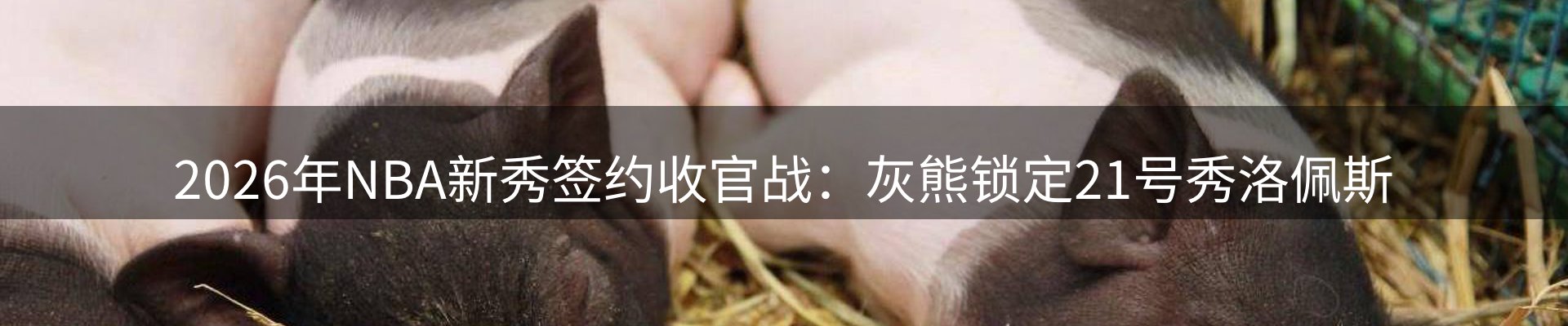 今日资讯